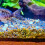 Raindrops 100St Aquariumdecoratie Steentjes Aquascaping 11