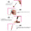 Silicone Bowstring Finger Tab Guard for Recurve Bow Shooting 42g 7