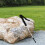 Outdoor Teleskop Faltbarer Kletterstab 5