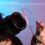 Split-Diopter 79mm Optisches Glas +1 Filter 5