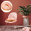 3 D Donut Plüsch Kissen Doughnut Spielzeug 5