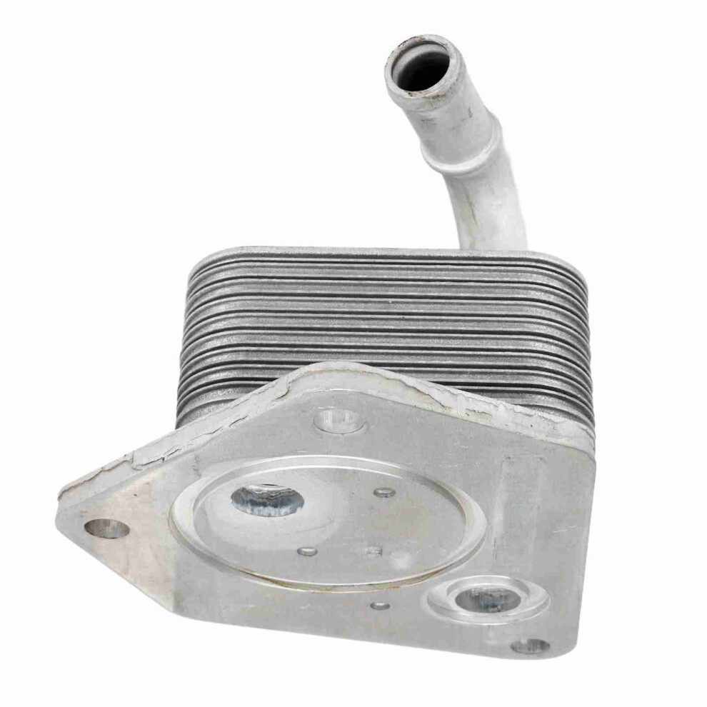Transmission Oil Cooler 25560 5Lj 004 For Accord Civic CrâV Turbo 4001353714046