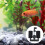 2St Aquarium Biochemischer Schwammfilter 11