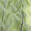 Leaf Vorhänge Transparent Mit Ösen Voile 11
