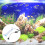 2 Aquarium Für Wasserpflanzen Weiß 5