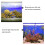 2 Aquarium Für Wasserpflanzen Weiß 7