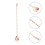 Barlöffel Dessert Aus Für 8