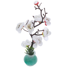 Sashimi Dish Decoration Dishes Plastic White