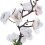 Sashimi Dish Decoration Dishes Plastic White 5