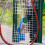 Tennisracket Dempers Silicone 8 1,0 Inch 6