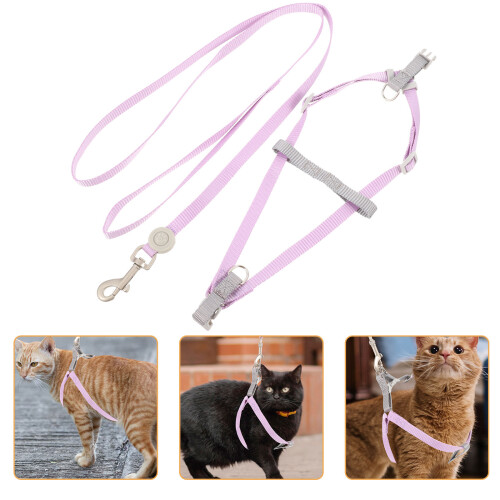 Raindrops 1 Set Kat Halsband En Tuigje Set Kitten Buiten 2