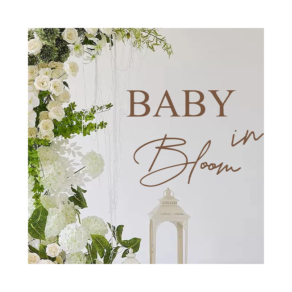 Baby in Bloom Gender Reveal Wall Sticker Removable Vinyl Balloon Arch Girl Or Boy Backdrop Sign Nursery Decor