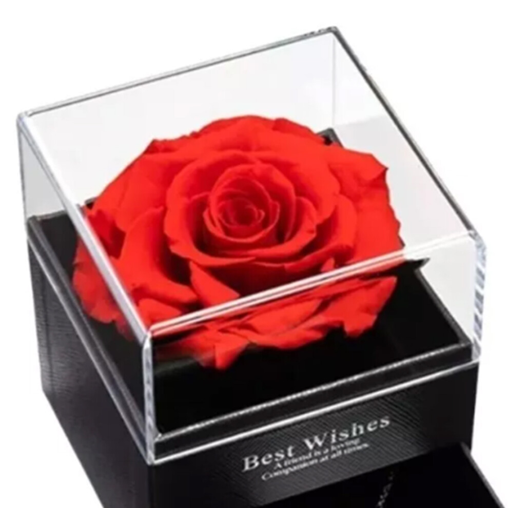 Preserved Red Rose with Acrylic Base â Romantic Elegant Decor 9x9x10.2cm-image-OPC-PM28V5M-NEW