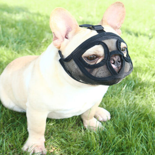 Adjustable Breathable Mesh Dog Muzzle Anti Biting Chewing 1