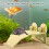 Plastic Turtle Basking Platform Aquarium Floating Island Yellow L 2