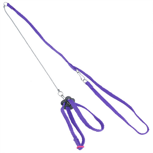 Fiber Adjustable Soft Bird Harness for Parrot Outdoor Training Purple 1