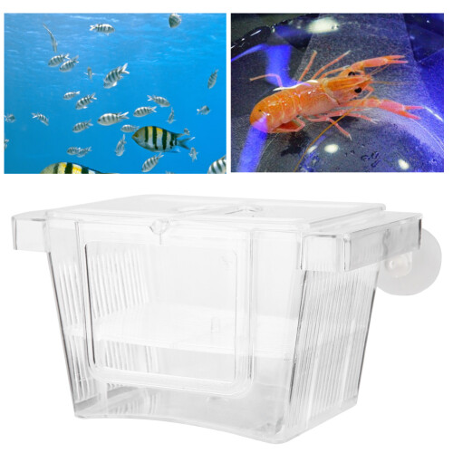 Acrylic Aquarium Fish Breeder Box Hatching Incubator Small 2