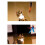 Cat Feather Rod Interactive Feather Teaser Retractable Cat Wand 11 PCS 1