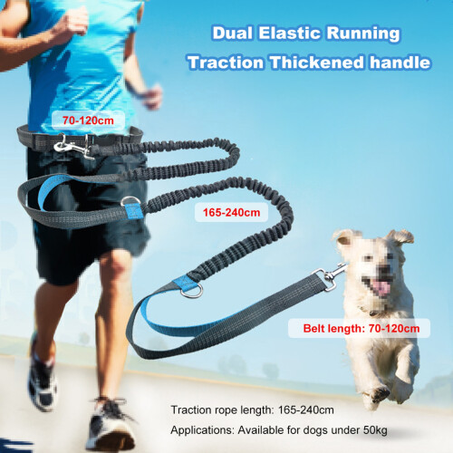Reflective Double Retractable Dog Leash Pet Supplies 2