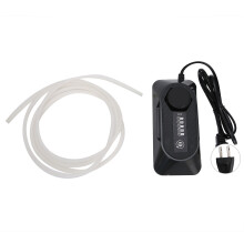 (US Plug 110V) 120MG Ozone Generator for Aquarium Water Purifier 110V US Plug
