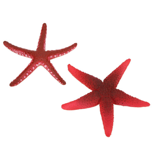 Luminous Starfish Heat Resistant Artificial for Fish Tank 2