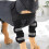1 Pair Reflective Dog Front Leg Braces with Supporting Sleeve (L) 5