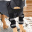 1 Pair Reflective Dog Front Leg Braces with Supporting Sleeve (L) 4
