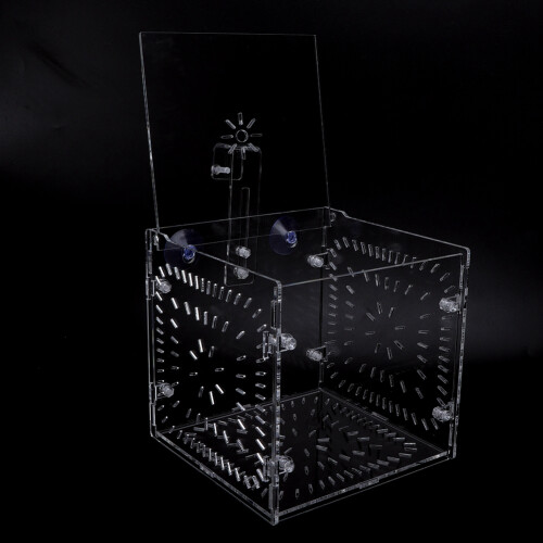 Isolation Breeding Box 15x15x15cm for Fish Tank 2