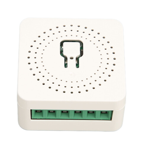 Mini Smart Relay Switch APP Control Timing AC100-240V