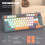 81-Key Backlit Gaming Keyboard 3-Color MDA Height N-Key Rollover 5