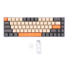 68 Keys Mechanical Keyboard RGB Backlit Red Switch Wireless Type C
