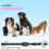 Anti-Barking Collar Beep Vibration IP67 Waterproof 15D 8-120LBS 5