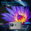 HY350 Android 11.0 HD 350 Lumen Portable Projector 4K AV1 Support 4