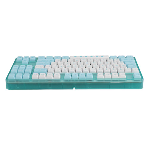 87 Keys Wired Mechanical Gaming Keyboard Blue Switch USB RGB Lights 2