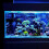 Landschap Visaquarium Rotsformatie Decoratie Berg Versiering 11