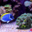 Landschap Visaquarium Rotsformatie Decoratie Berg Versiering 4