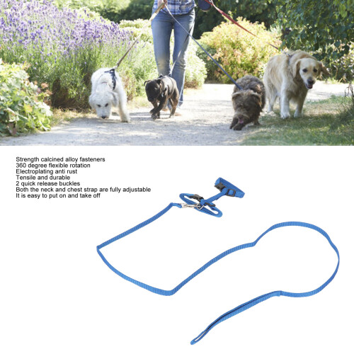 Adjustable Blue Cat Harness Lead Set | Lightweight & Escape-Proof 2