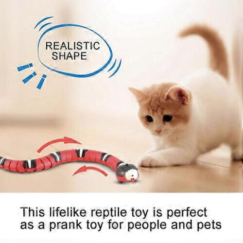 Smart Sensing Snake Kids Pet Toy Cat Dog Interactive Terasering USB Charging 2