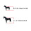Equestrian Protection: 4 White Adjustable Open Front Horse Boots Set 12