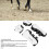 Equestrian Protection: 4 White Adjustable Open Front Horse Boots Set 10