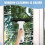 Rechargeable Window Vac, Cordless Window Vacuum Squeegee Cordless UK 7
