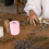 Pink Tüll Stoffrollen Polyester Für Blumenverpackung 1 4