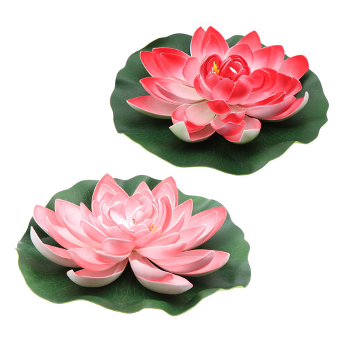 1St Roze Lotus Voor Vijver En Binnentuin 2
