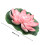 1St Roze Lotus Voor Vijver En Binnentuin 4