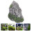 Terrarium Aquarium Gestaltung Harz 1 Satz 7