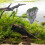 Terrarium Aquarium Gestaltung Harz 1 Satz 3