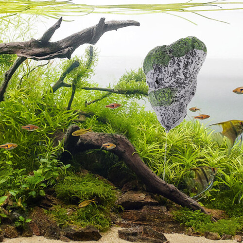 Terrarium Aquarium Gestaltung Harz 1 Satz 2