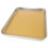 Anatomy Tray Dissektionsplatte 1