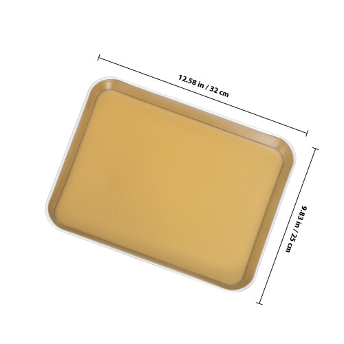 Anatomy Tray Dissektionsplatte 1