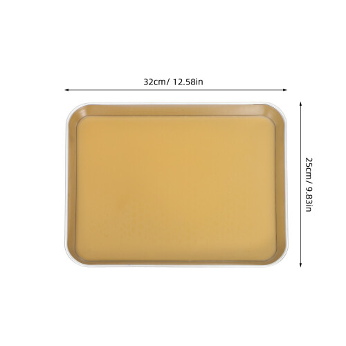 Anatomy Tray Dissektionsplatte 2